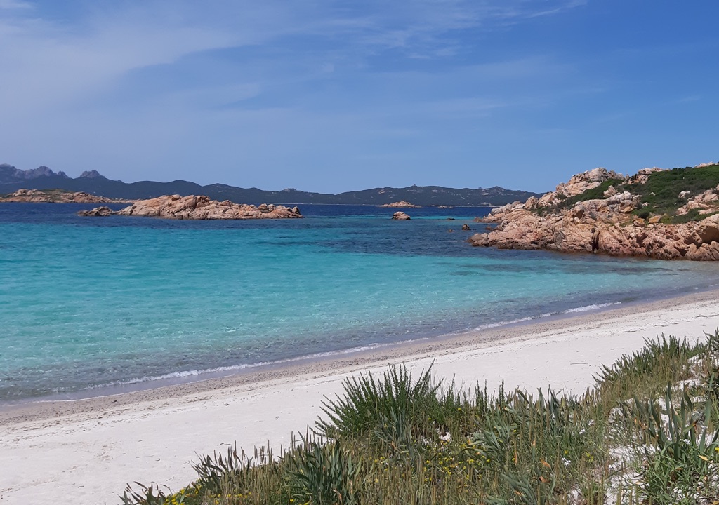 Mare